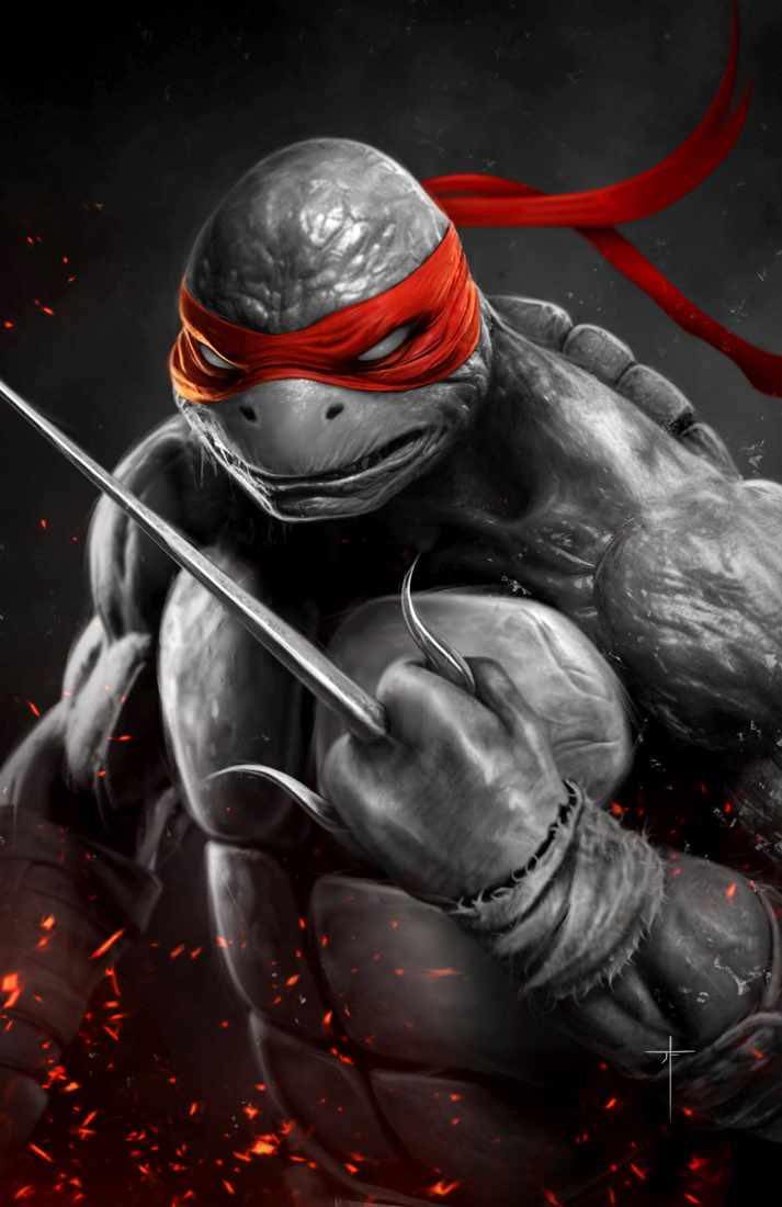 TEENAGE MUTANT NINJA TURTLES #1 (JAY FERGUSON EXCLUSIVE VIRGIN VARIANT A & B SET) ~ IDW TMNT